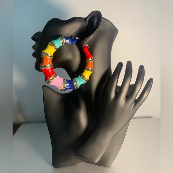 Multi Colored Hoop Earrings - Picture 1 of 3